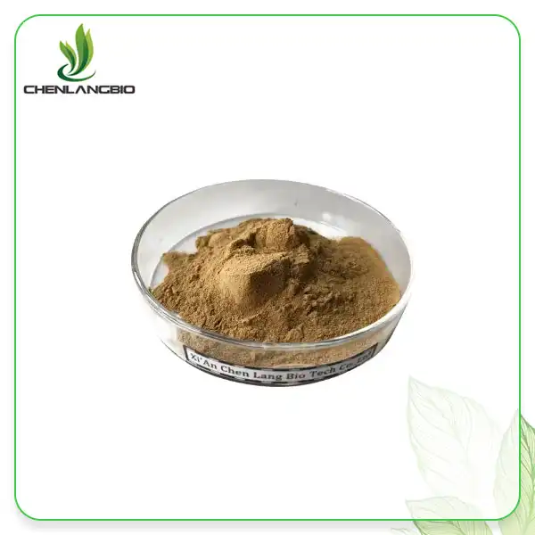 Phellinus Linteus Extract Powder